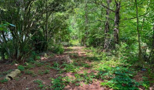 Photo #10 of Off Two Mile Desert Road, Hertford, NC 12.0 acres