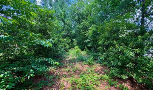 Photo #12 of Off Two Mile Desert Road, Hertford, NC 12.0 acres