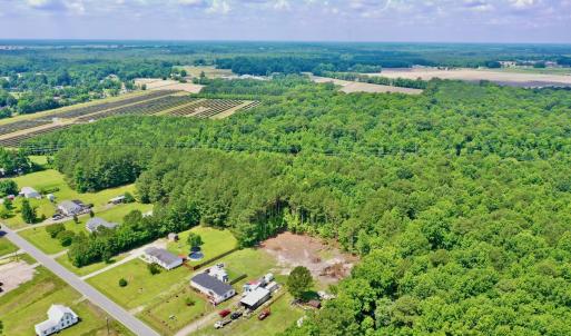 Photo #13 of Off Two Mile Desert Road, Hertford, NC 12.0 acres