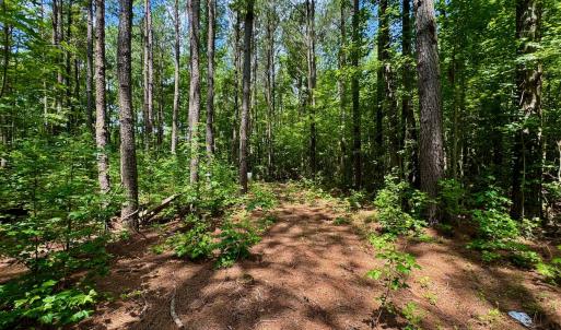 Photo #14 of Off Two Mile Desert Road, Hertford, NC 12.0 acres