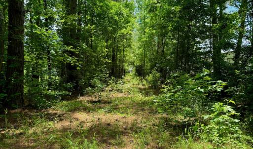 Photo #20 of Off Two Mile Desert Road, Hertford, NC 12.0 acres