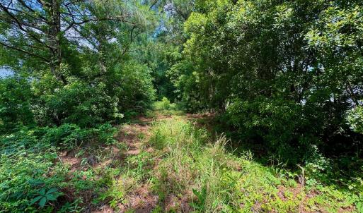 Photo #22 of Off Two Mile Desert Road, Hertford, NC 12.0 acres