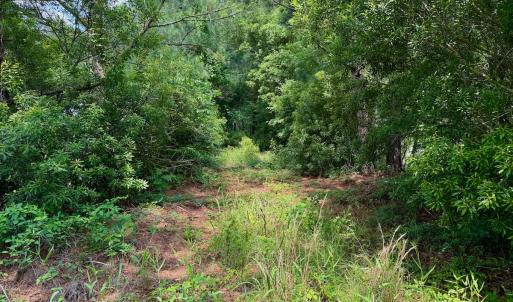 Photo #24 of Off Two Mile Desert Road, Hertford, NC 12.0 acres