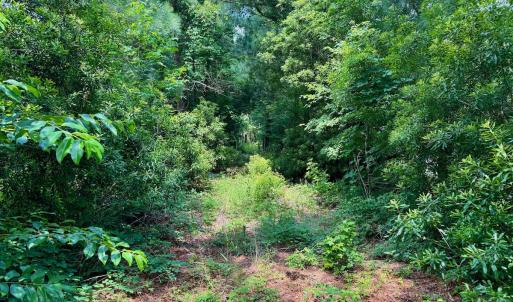 Photo #26 of Off Two Mile Desert Road, Hertford, NC 12.0 acres