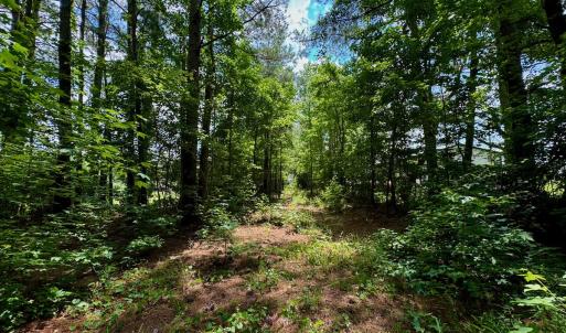 Photo #28 of Off Two Mile Desert Road, Hertford, NC 12.0 acres