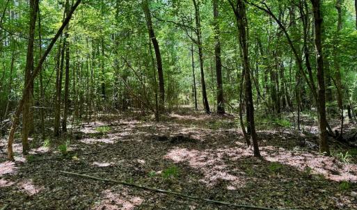 Photo #29 of Off Two Mile Desert Road, Hertford, NC 12.0 acres