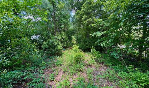 Photo #30 of Off Two Mile Desert Road, Hertford, NC 12.0 acres