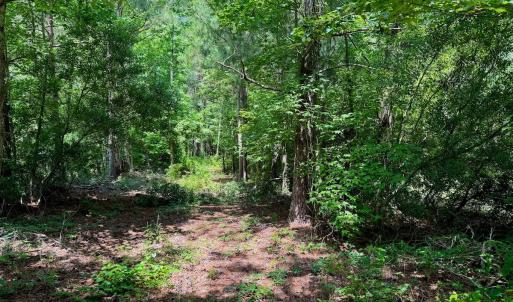 Photo #32 of Off Two Mile Desert Road, Hertford, NC 12.0 acres