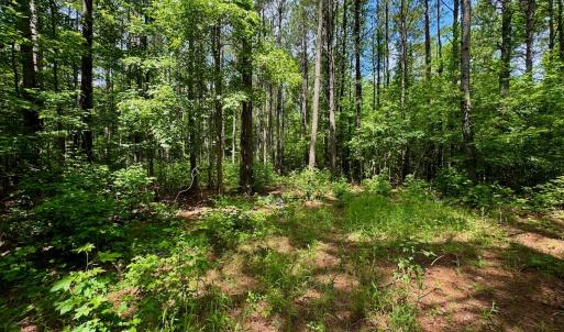 Photo #36 of Off Two Mile Desert Road, Hertford, NC 12.0 acres