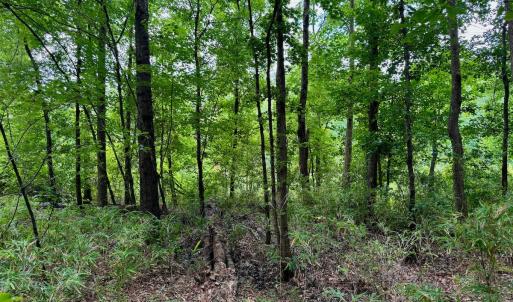Photo #43 of Off Two Mile Desert Road, Hertford, NC 12.0 acres