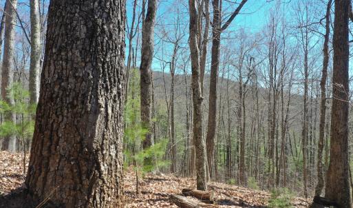 Photo #3 of Off Olde Stone Rd Lot 47, Crumpler, NC 5.3 acres