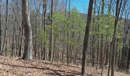 Photo #5 of Off Olde Stone Rd Lot 47, Crumpler, NC 5.3 acres