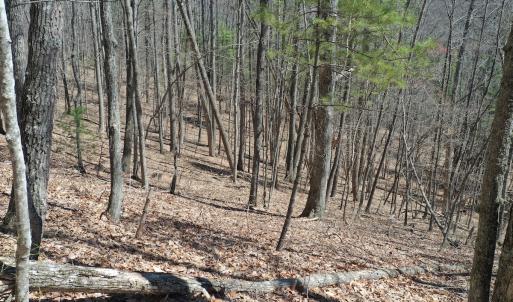 Photo #6 of Off Olde Stone Rd Lot 47, Crumpler, NC 5.3 acres