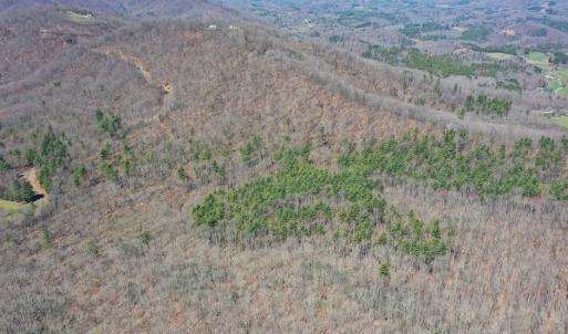 Photo #10 of Off Olde Stone Rd Lot 47, Crumpler, NC 5.3 acres