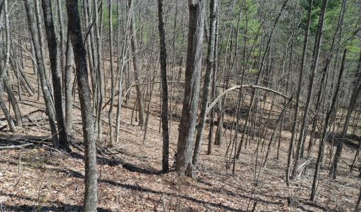 Photo #16 of Off Olde Stone Rd Lot 47, Crumpler, NC 5.3 acres