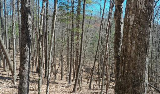 Photo #17 of Off Olde Stone Rd Lot 47, Crumpler, NC 5.3 acres