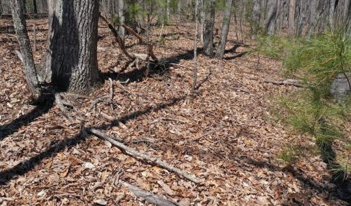 Photo #18 of Off Olde Stone Rd Lot 47, Crumpler, NC 5.3 acres