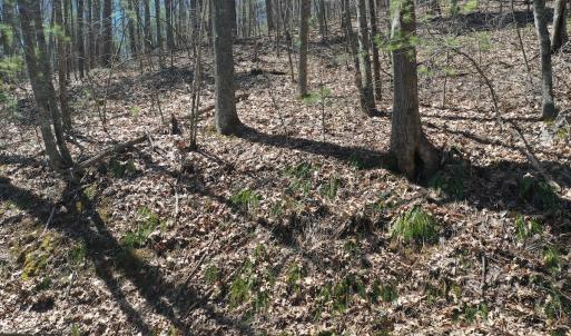Photo #23 of Off Olde Stone Rd Lot 47, Crumpler, NC 5.3 acres