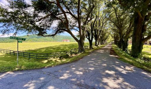 Photo #6 of 127 Albert Farm Rd, Monroe, VA 225.2 acres