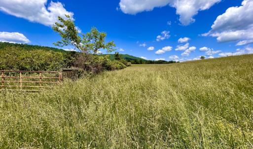 Photo #66 of 127 Albert Farm Rd, Monroe, VA 225.2 acres