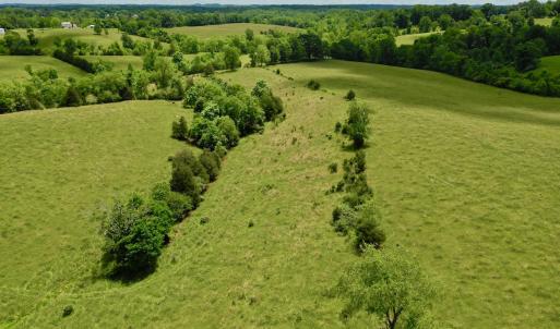 Photo #73 of 127 Albert Farm Rd, Monroe, VA 225.2 acres