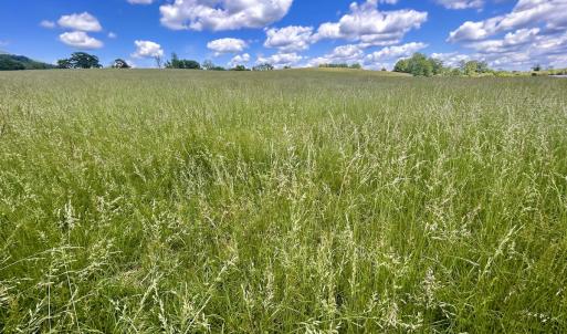 Photo #89 of 127 Albert Farm Rd, Monroe, VA 225.2 acres