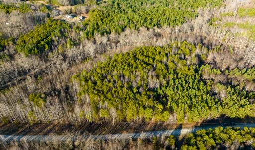 Photo #14 of Off Wilson Road - Lot 5, Providence, NC 14.6 acres
