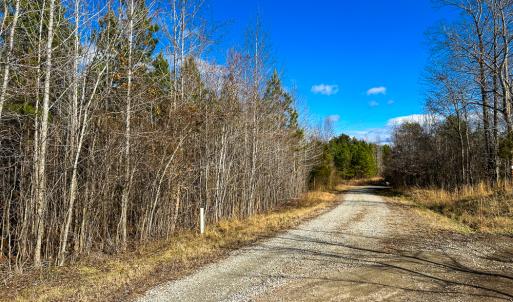 Photo #5 of Off Wilson Road - Lot 6, Providence, NC 33.5 acres