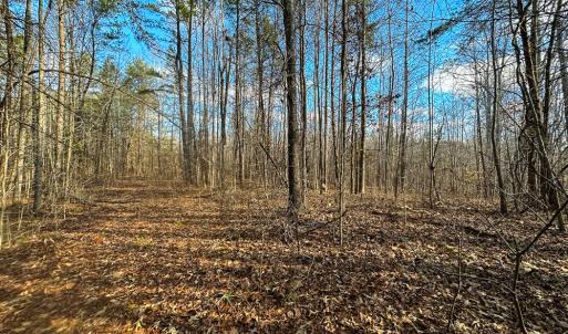 Photo #24 of Off Wilson Road - Lot 6, Providence, NC 33.5 acres