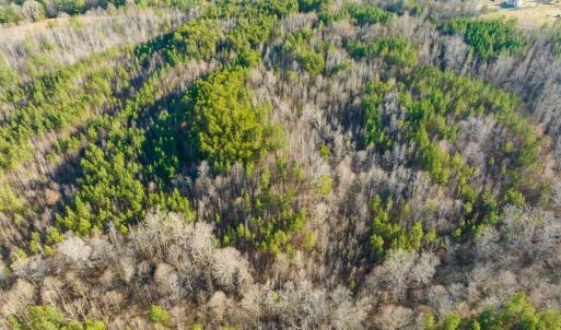 Photo #27 of Off Wilson Road - Lot 6, Providence, NC 33.5 acres