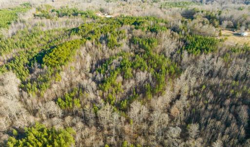 Photo #47 of Off Wilson Road - Lot 6, Providence, NC 33.5 acres
