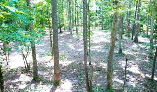 Photo #6 of Off Bank Street, Waverly, VA 4.4 acres