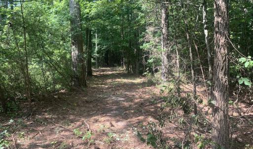 Photo #11 of Off Bank Street, Waverly, VA 4.4 acres