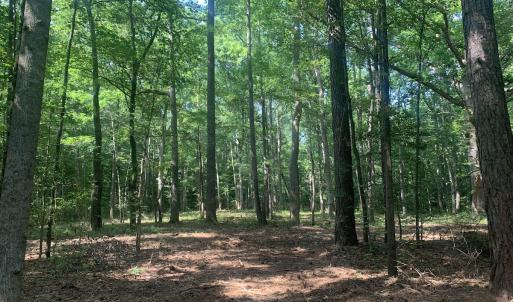 Photo #13 of Off Bank Street, Waverly, VA 4.4 acres