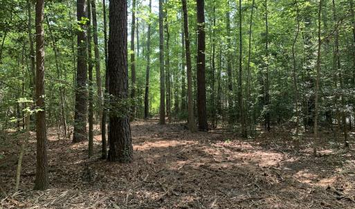 Photo #26 of Off Bank Street, Waverly, VA 4.4 acres