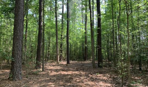 Photo #27 of Off Bank Street, Waverly, VA 4.4 acres