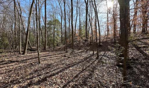 Photo #10 of SOLD property in Off Pole Run Rd, Disputanta, VA 114.0 acres