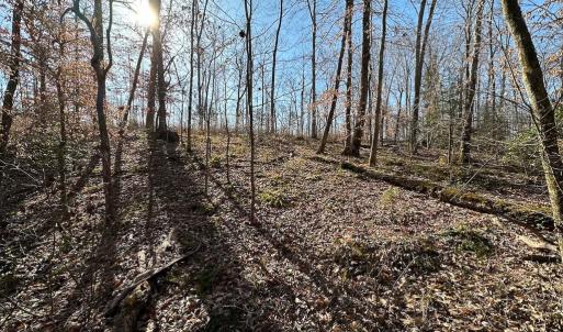 Photo #12 of SOLD property in Off Pole Run Rd, Disputanta, VA 114.0 acres