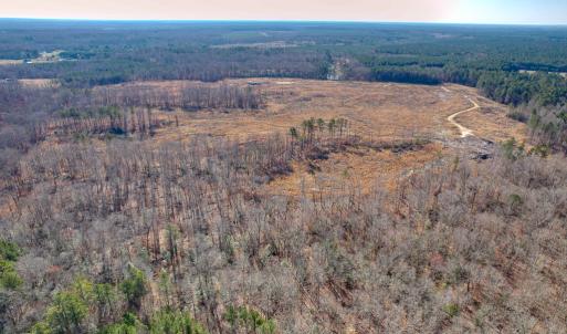 Photo #19 of SOLD property in Off Pole Run Rd, Disputanta, VA 114.0 acres