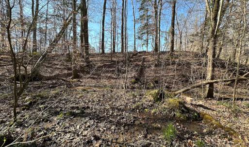 Photo #20 of SOLD property in Off Pole Run Rd, Disputanta, VA 114.0 acres