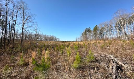 Photo #32 of SOLD property in Off Pole Run Rd, Disputanta, VA 114.0 acres