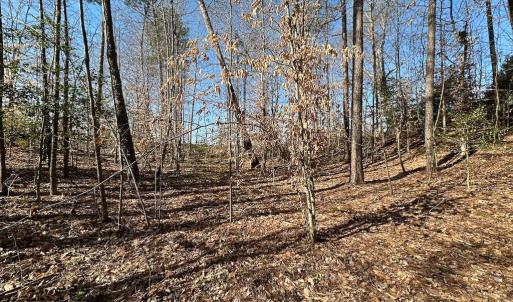 Photo #35 of SOLD property in Off Pole Run Rd, Disputanta, VA 114.0 acres