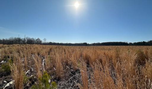 Photo #38 of SOLD property in Off Pole Run Rd, Disputanta, VA 114.0 acres