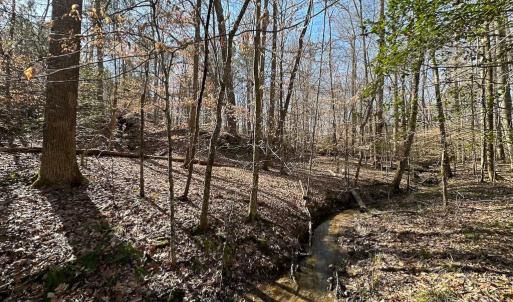 Photo #44 of SOLD property in Off Pole Run Rd, Disputanta, VA 114.0 acres