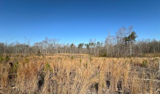 Photo #45 of SOLD property in Off Pole Run Rd, Disputanta, VA 114.0 acres