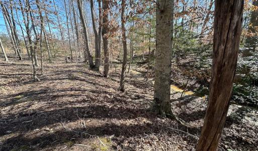 Photo #46 of SOLD property in Off Pole Run Rd, Disputanta, VA 114.0 acres