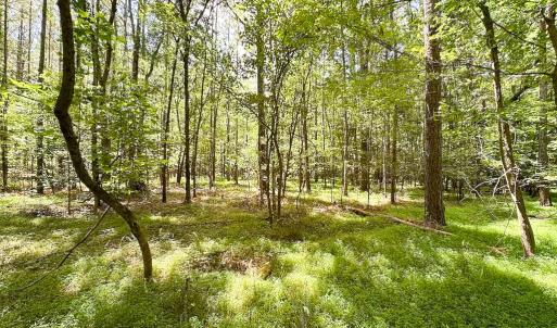 Photo #6 of Off Rolling Acres Rd, Skippers, VA 3.0 acres