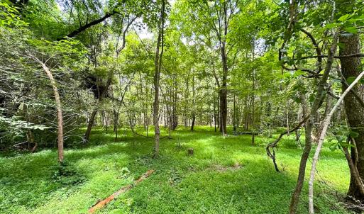 Photo #8 of Off Rolling Acres Rd, Skippers, VA 3.0 acres