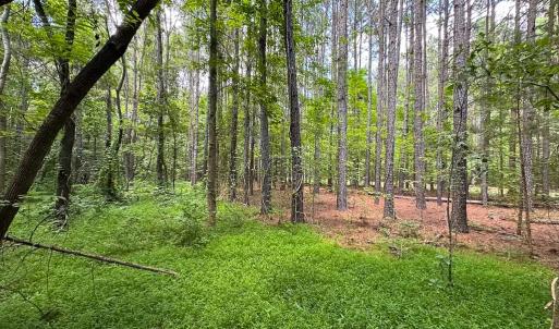 Photo #9 of Off Rolling Acres Rd, Skippers, VA 3.0 acres
