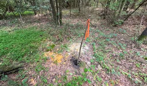 Photo #10 of Off Rolling Acres Rd, Skippers, VA 3.0 acres